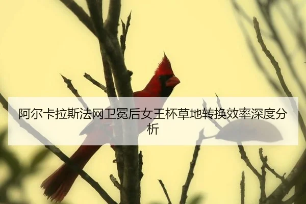 阿尔卡拉斯法网卫冕后女王杯草地转换效率深度分析